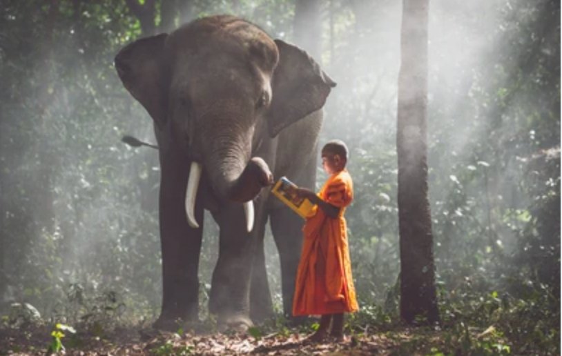 Tittha Sutta: parabola buddista dei ciechi e dell'elefante